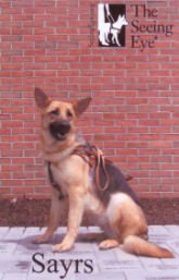 Sayrs graduating the Seeing Eye
