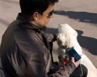 Javier using his phone's keypad to enter an address